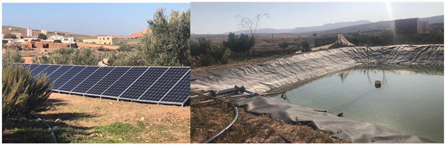 Morocco 9KW Farm land irrigation for fruit tree